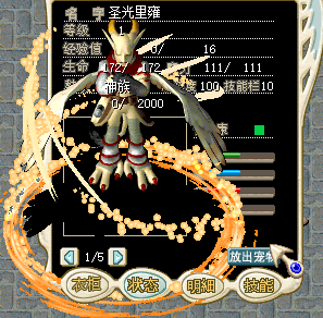 宠物.png
